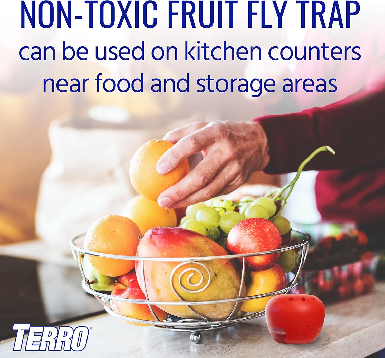 Terro T2502 Indoor Fruit Fly Trap - Ready-to-Use with Built-In Window | 2 Traps + 90-Day Lure Supply