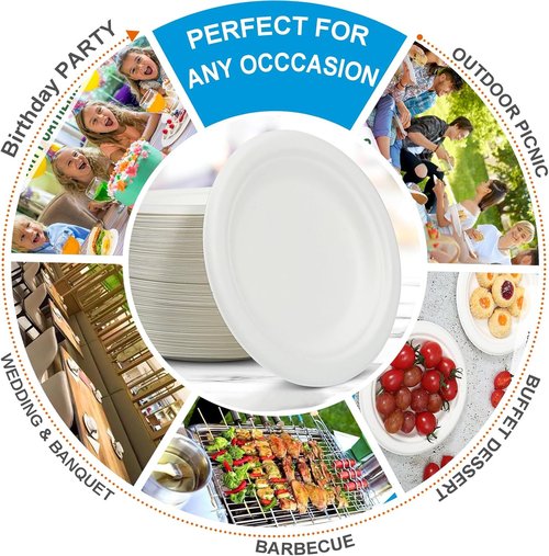 Heavy Duty Biodegradable Paper Plates | Skiennix 6-Inch White Disposable Plates - 100 Count, Compostable & Leak-Proof