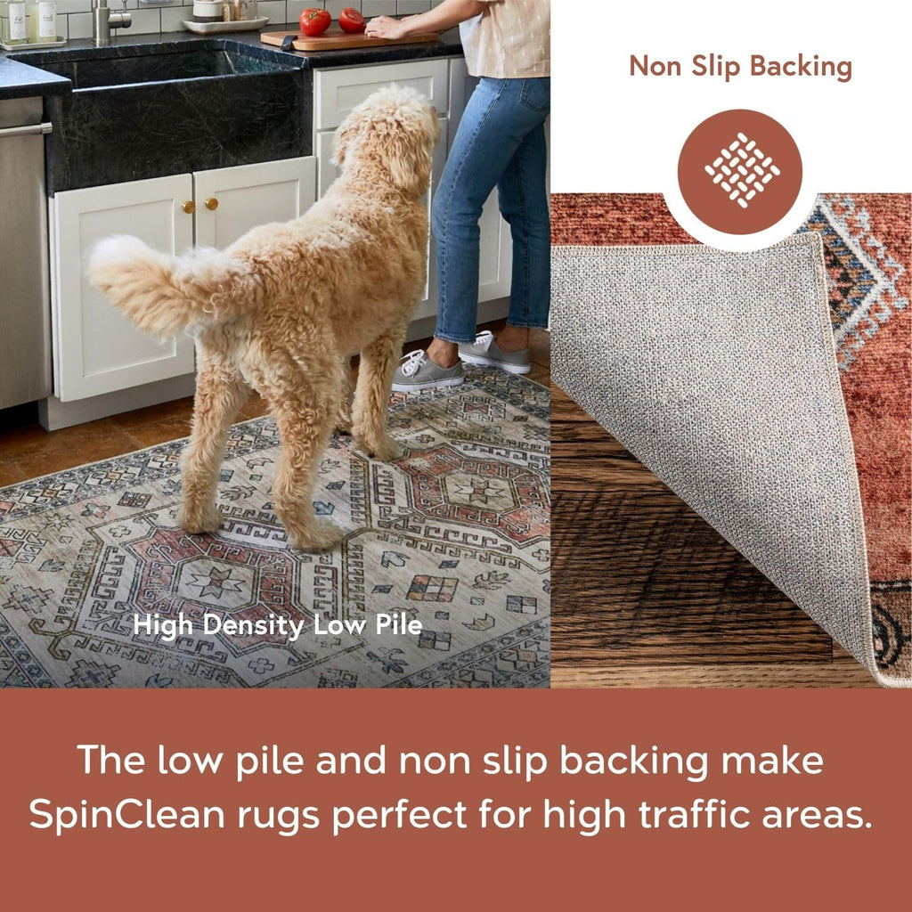 nuLOOM Eleanor Machine Washable Distressed Medallion Area Rug, 4' x 6', Multi Color, Rectangular, 0.15" Thick