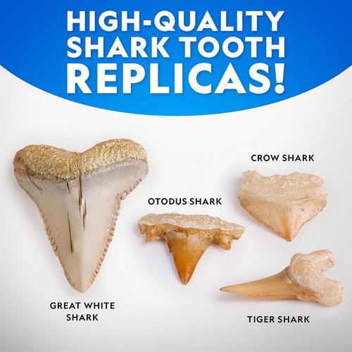 National Geographic Shark Tooth Dig Kit - Excavate Ancient Shark Fossils & Create a Necklace | STEM Activity for Kids Ages 6-8