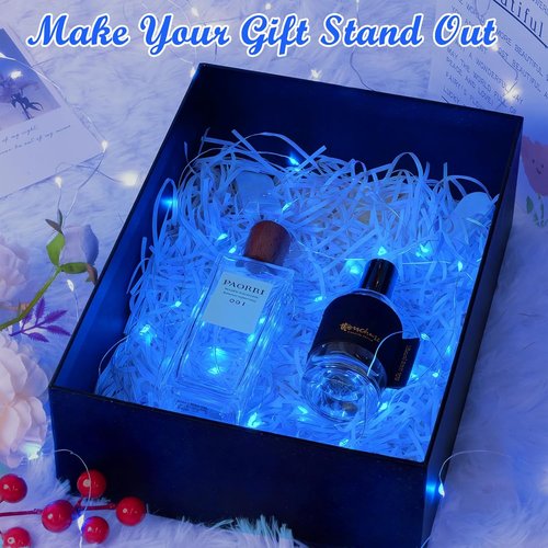 Lakumu 12-Pack Battery Operated Fairy Lights | 7FT Waterproof Silver Wire LED String Lights for Mason Jars & Party Decor - Blue