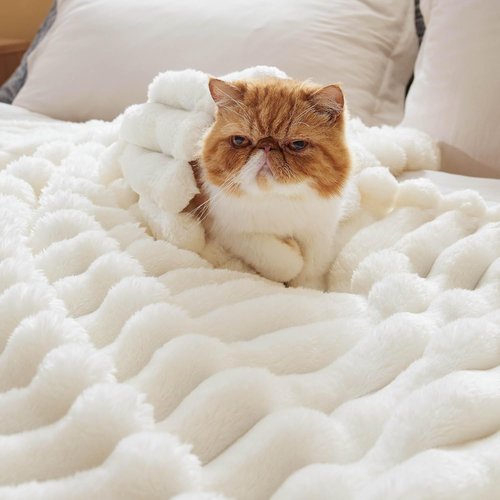 Bedsure Fluffy White Throw Blanket - 350GSM Soft Fleece, Cozy Plush Design, 50x60 Inches