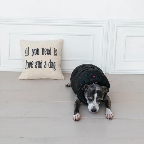 Creative Co-Op, White Square Cotton and Jute Pillow with Embroidered All You Need … Text
