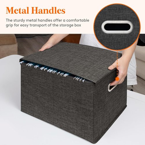 Lifewit File Organizer Box - Portable A4 Hanging File Storage - Dark Gray, 2-Pack for Home & Office