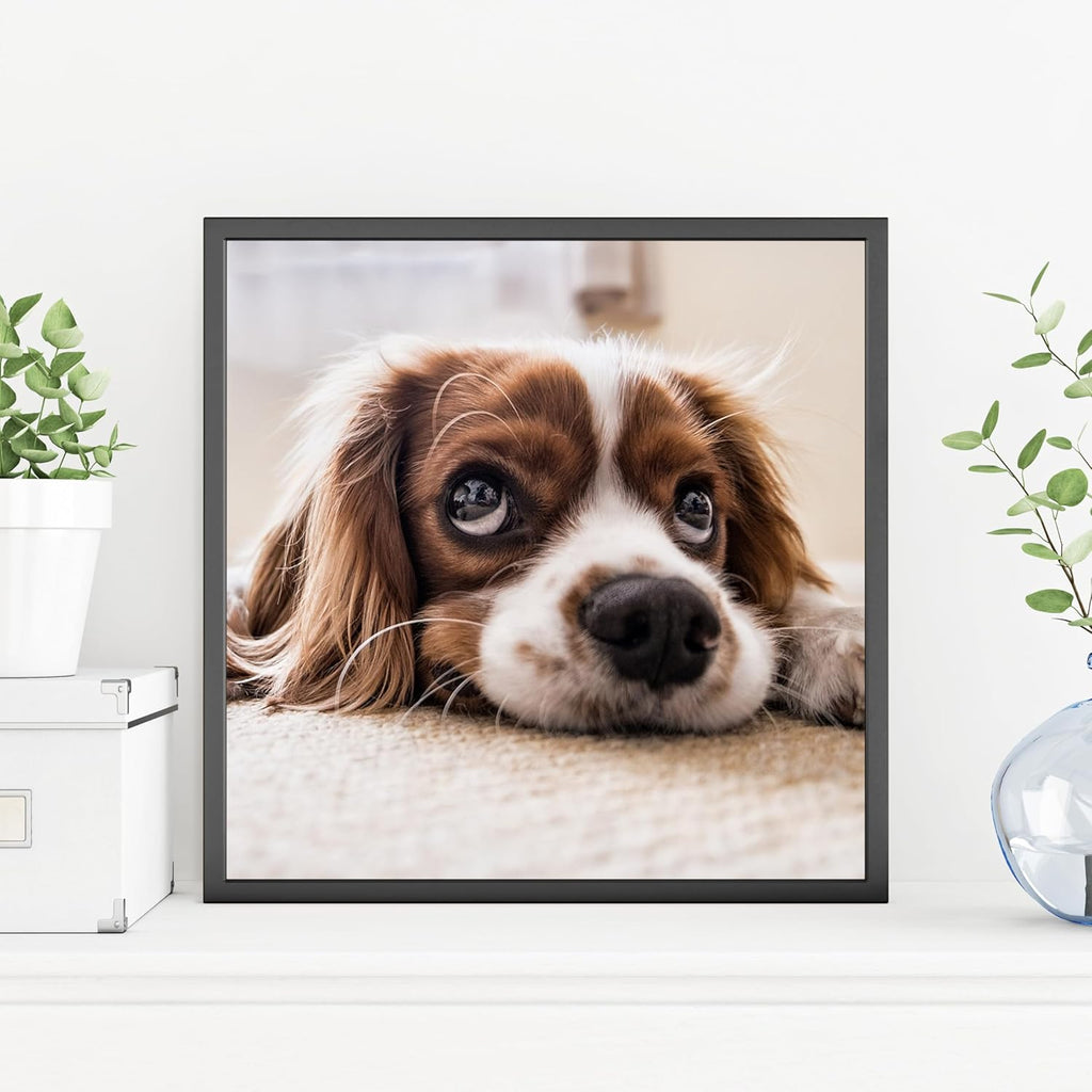 Pera Print - Custom Personalized Photo Poster Printing | Wall Art Prints (12 x 12 Inches)