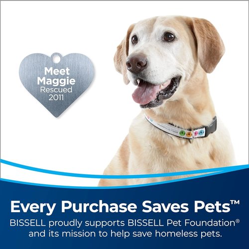 Bissell CleanView Rewind Vacuum - Bagless Design with Automatic Cord Rewind & Active Wand | Model 3534