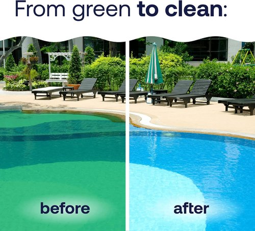 HTH 67289 Algae Guard Ultra - Long-Lasting Swimming Pool Care Chemical, 32 Fl Oz