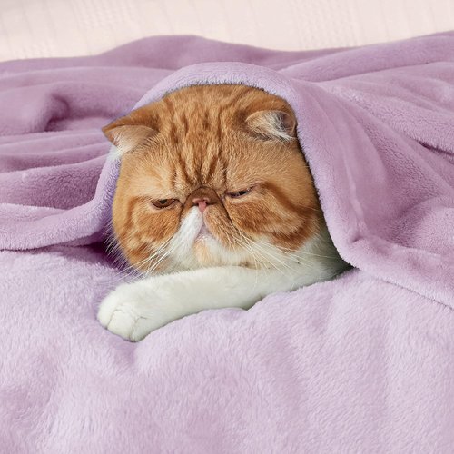 Bedsure GentleSoft Fleece Blanket - Lightweight Plush Cozy Twin Size Lilac 60x80 Inches for Bed & Travel