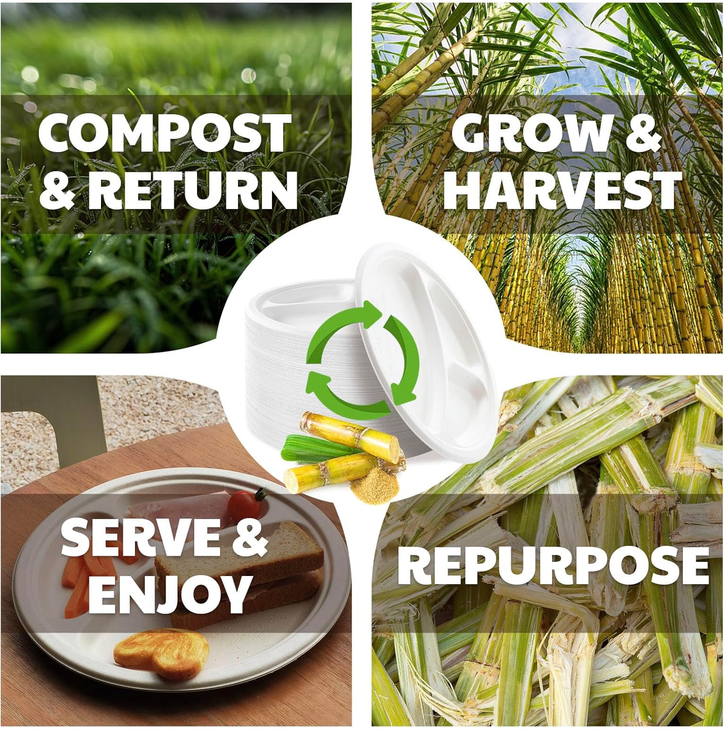 Regine Switzerland Compostable 3-Compartment Paper Plates - Heavy Duty Biodegradable Lunch Trays | 10 Inch, 125 Count