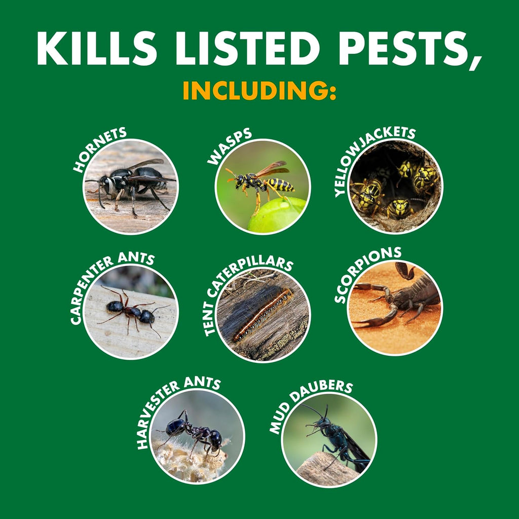 Spectracide Wasp & Hornet Killer Aerosol - Instant Kill for Wasps, Hornets & Yellow Jackets | 12 Pack