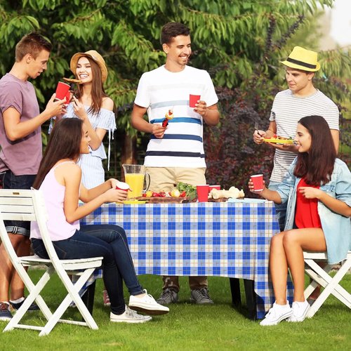 Gatherfun 3PCS Disposable Waterproof Tablecloth - Blue & White Gingham, 54x108 Inch for Picnics & Events