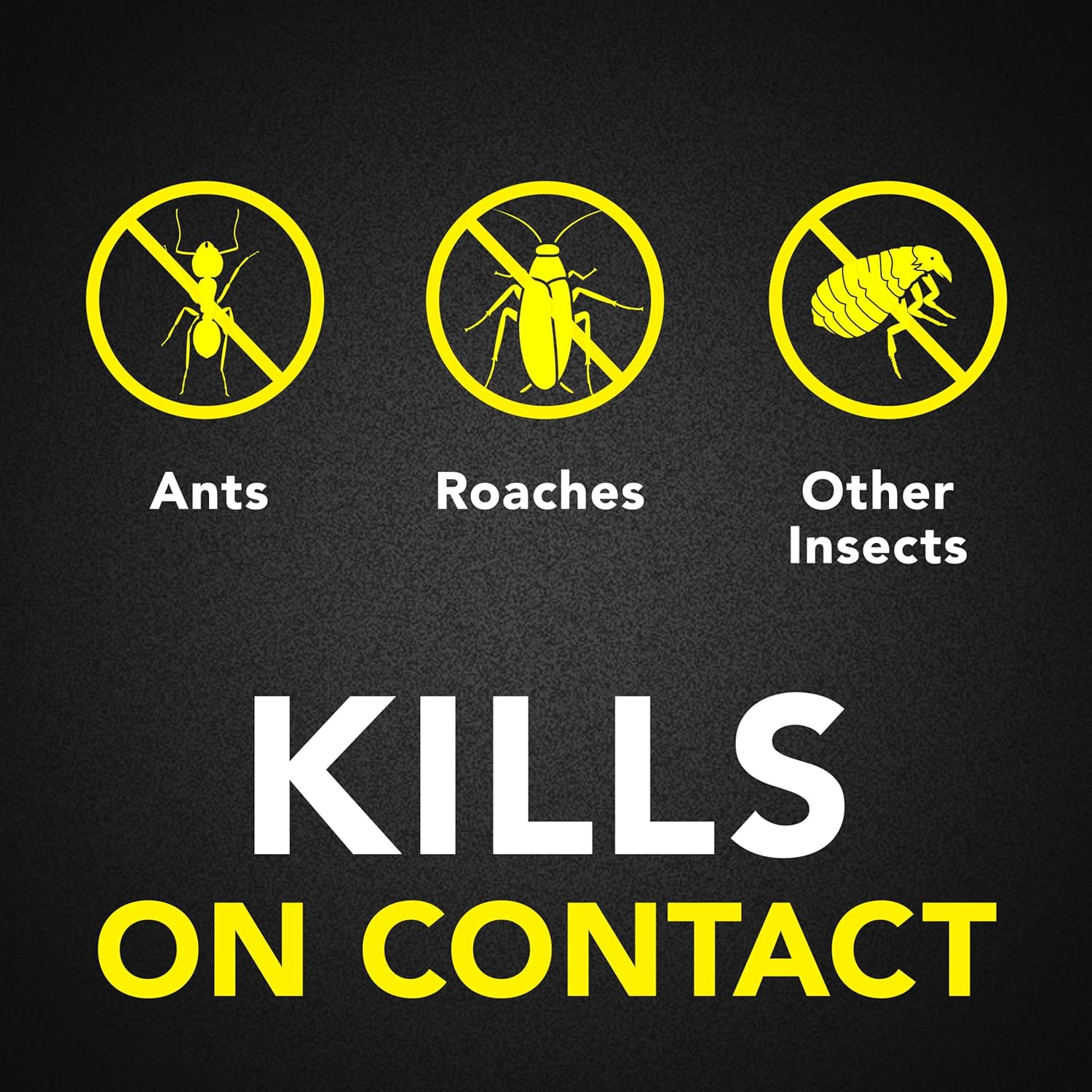 Raid Ant & Roach Bug Spray - Water-Based Insecticide Kills On Contact | 17.5 oz, No Greasy Residue