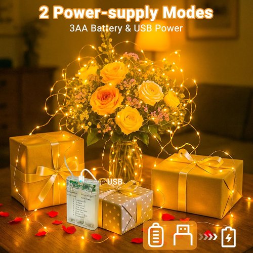 Litogo Fairy Lights - 33FT 100LED Battery Operated String Lights with Timer | Dimmable 8 Modes for Indoor Decor