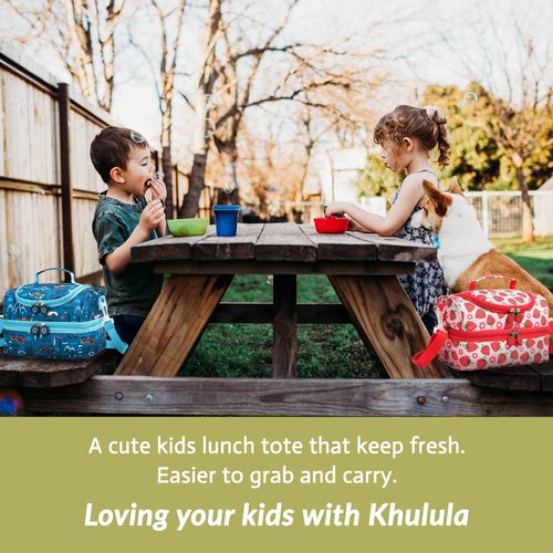 Life on track Insulated Kids Dual Compartment Lunch Bags Tote Pack for Girls Boys Toddler Kindergarten School Picnic Food Cooler Boxes with Shoulder Strap (Blue Car)