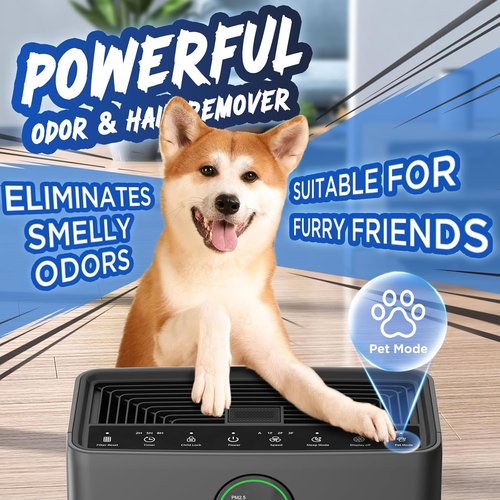 MOOKA Air Purifier - Large Room Coverage Up to 2200 Sq.Ft | Washable Filter & PM 2.5 Display for Pets & Home