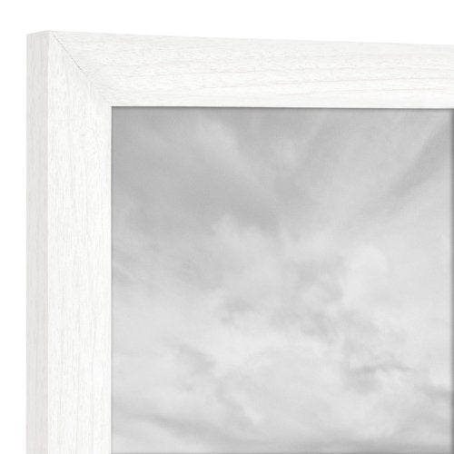 MCS Studio Gallery 8x8 Picture Frame White Woodgrain Engineered Wood, Wall Hanging & Easel for Tabletop Display, Square Photo Frame for Photos, Posters & Art Prints (2-Pack)