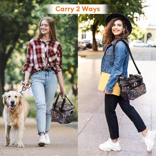 Lifewit Insulated Lunch Bag - Medium Soft Cooler Tote for Adults | Paisley Design, 12-Can Capacity (9L)