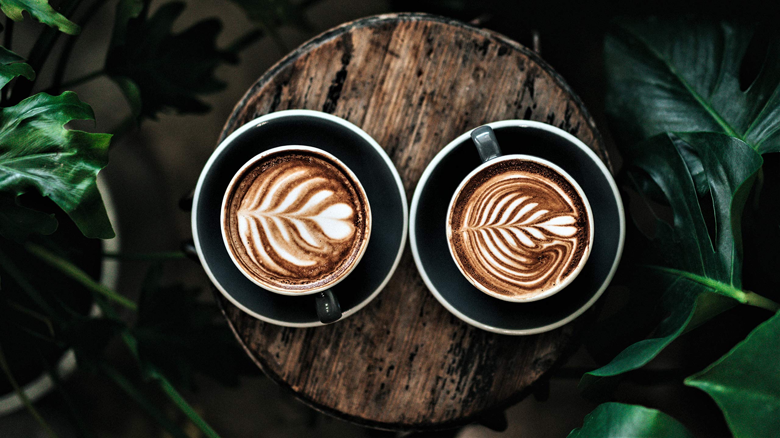 100% Kona Coffee – GROUND, Medium roast, Single estate gourmet coffee, 16 ounces, Farm fresh roasted from Domain Kona Coffee