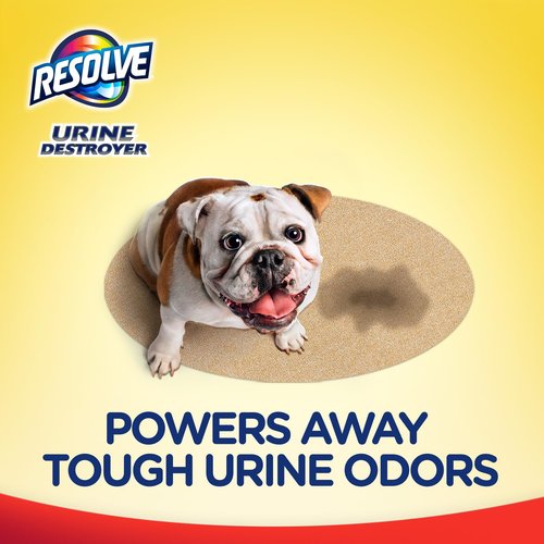 Resolve Urine Destroyer Steam Carpet Cleaner Solution – 2X Concentrated Formula Urine Eliminator for Pet Stains & Odors, Safe for Bissell, Hoover & Rug Doctor, 60 fl oz