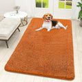 OLANLY Dog Door Mat - Absorbent Non-Slip Chenille Mat for Muddy Paws | 59x32, Quick Dry, Indoor Carpet
