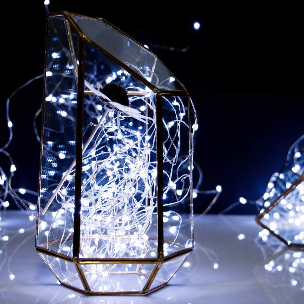 Skiennix 20 LED Fairy Lights - 7 Feet Battery Operated String Lights | Waterproof Silver Wire for Home & Party Decor