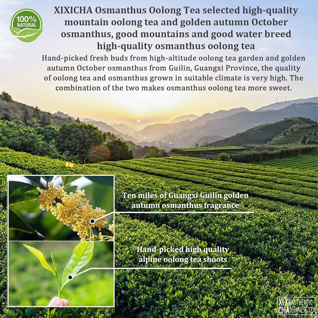 XIXICHA Osmanthus Oolong Tea, Taiwan Premium High Mountain Oolong Loose Leaf, Naturally Infused with Fresh Osmanthus Flowers, Smooth & Floral, 150g (5.3oz) 桂花乌龙茶 台湾茶