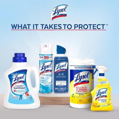 Lysol Toilet Bowl Cleaner Gel - Powerful Odor Fighting & Stain Removal | Fresh Clean Scent, 24oz (Pack of 2)