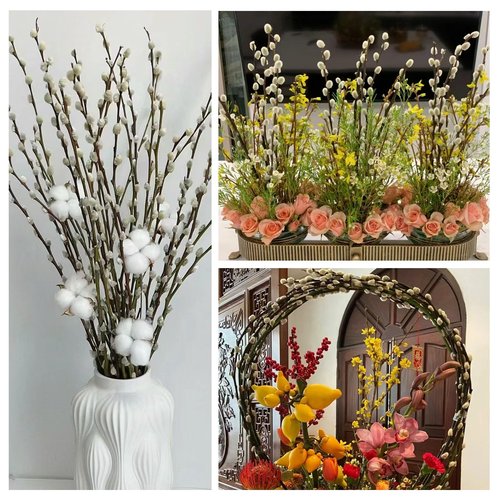 Natural Preserved Dried PussyWillow Branches for Vases, 15 Stems Real Willows, 17" Snow Pussywillows, Dried Flowers for Indoor and Outdoor Decor, Wedding Home DIY Floral Art Plants Fireplace