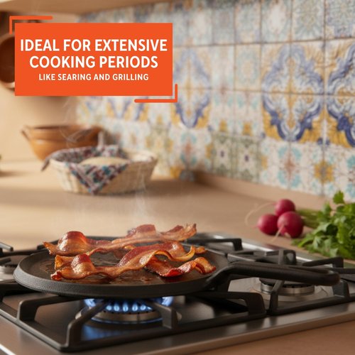 IMUSA 9.5in Preseasoned Cast Iron Comal for Tortillas, Arepas, Quesadillas, Heating & Searing, Heavy-Duty Flat Griddle