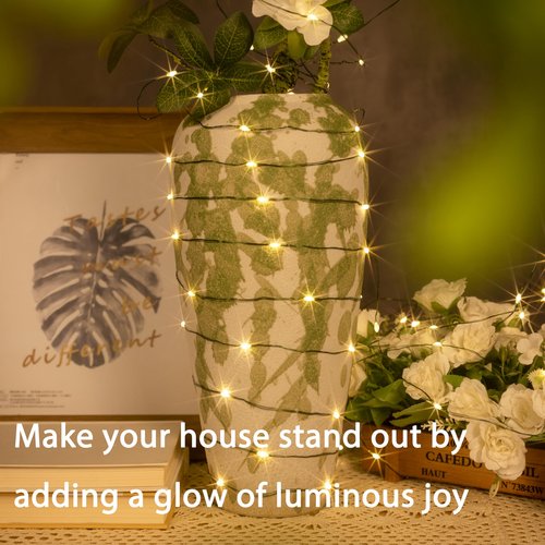 PCORES 100FT Green Wire Fairy Lights Plug-in, 300 LED Dimmable Waterproof String Lights with Remote - 8 Modes Warm White for Christmas Tree, Yard, Holiday Party Decorations