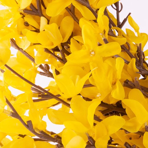 Yellow Forsythia Wreath - 24-Inch Artificial Spring Wreath for Home Decor - Wreaths for Indoors or Covered Patio Use Only by Pure Garden