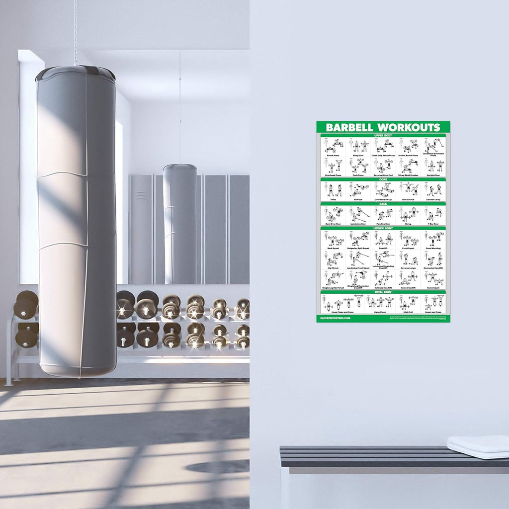 QuickFit Dumbbell Workout Posters - Laminated Exercise Charts Set of 3 (18" x 24") | Bodyweight & Barbell Routines