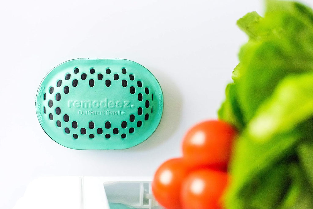 Remodeez Refrigerator Deodorizer - Activated Charcoal Bags | Odor & Moisture Eliminator