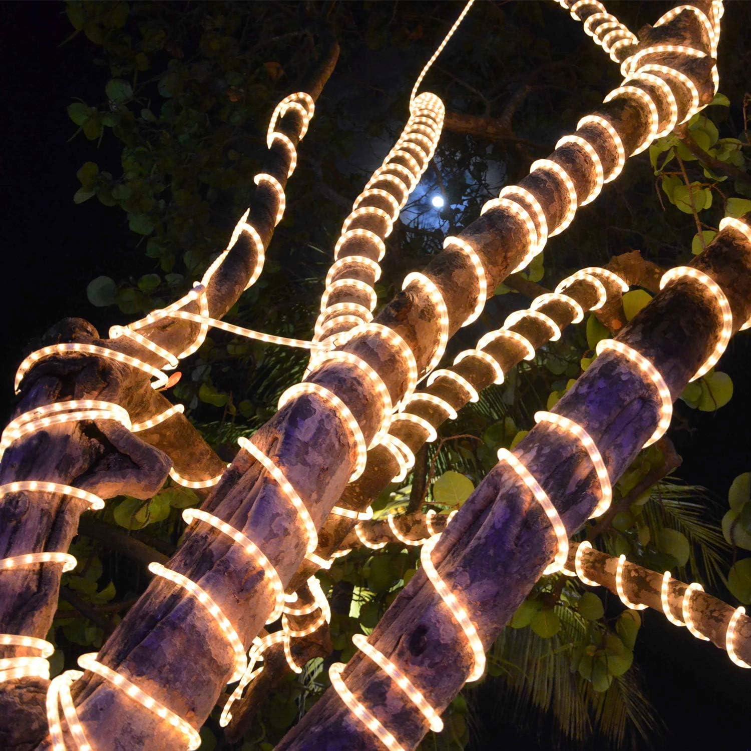 Skiennix LED Rope Lights - 50ft Waterproof Warm White with 540 LEDs | Indoor/Outdoor Decorative Lighting