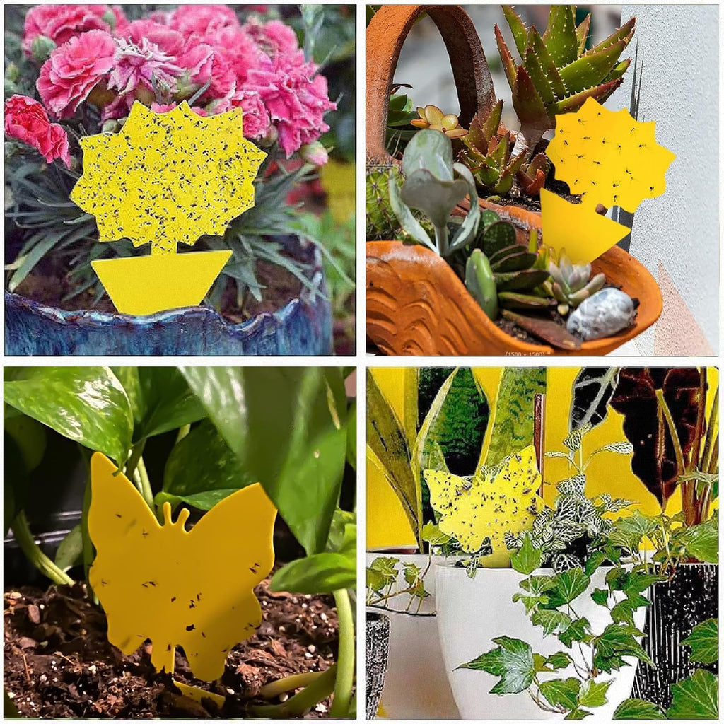 Skiennix 58 Pack Flying Insect Traps - Non-Toxic Yellow Sticky Traps for Gnats, Flies & Bugs | Indoor & Outdoor Use