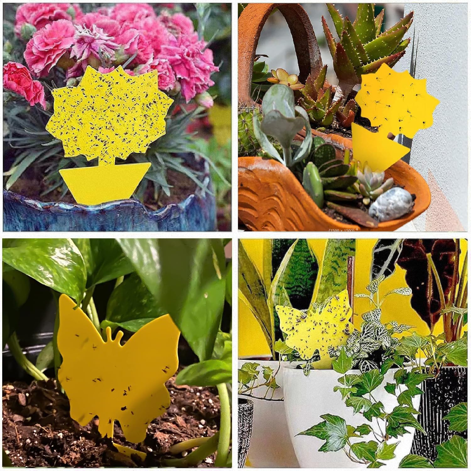 Skiennix 58 Pack Flying Insect Traps - Non-Toxic Yellow Sticky Traps for Gnats, Flies & Bugs | Indoor & Outdoor Use