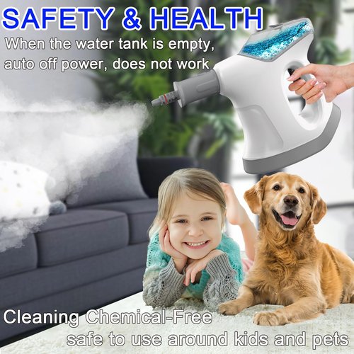 Handheld Steam Cleaner, 10S Immediate Heat Hand Held Steam Cleaner for Home, with Visualized Large Water Tank & 9 PCS Accessories & Safety Lock, for Window,Car,Kitchen,Couch,Floor (WHITE+GRAY)