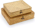 Hipiwe Wicker Storage Bins - Set of 2 Natural Seagrass Baskets with Lids | Multipurpose Home Organizer in Caramel
