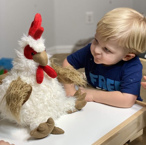 Mary Meyer FabFuzz Stuffed Animal Soft Toy, Rooster, 16-Inches