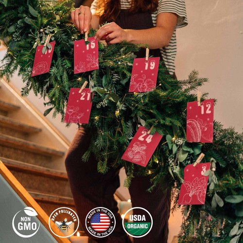 Seeds Christmas Advent Calendar 2025 for Women Adult, Hanging Decor Xmas Countdown Calendar for Garden Alike,Unique Christmas Countdown for Dad Mom Kids Family