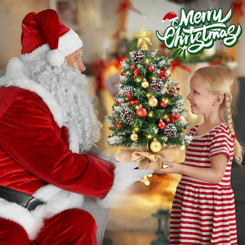 Mini Christmas Tree with Lights, 24 Inch Tabletop Christmas Tree with Berries Star Treetop Ornaments Balls Artificial Small XMS Tree for Table Desk Home Christmas Holiday Decor
