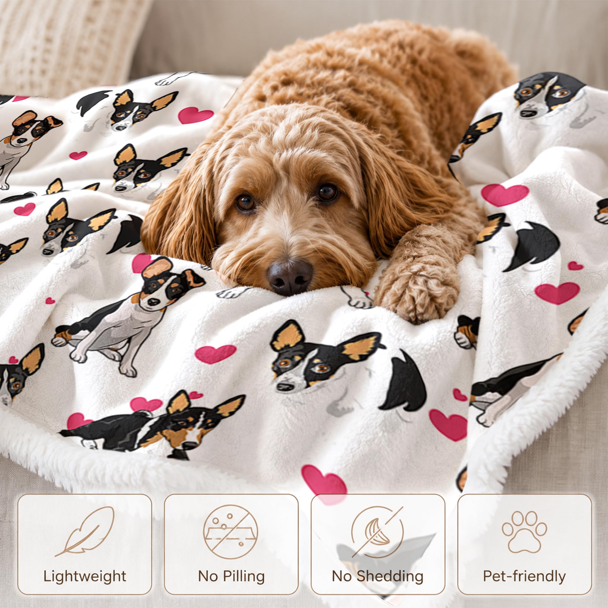 BlessLiving Rat Terrier White Throw Blanket with Dense Black Dog Patterns Sherpa Fleece Blanket Couch Bed, Soft Cozy Warm Pet Blankets for Puppy Lovers Pink Heart Cute Animal Print Gift 50x60 Inches