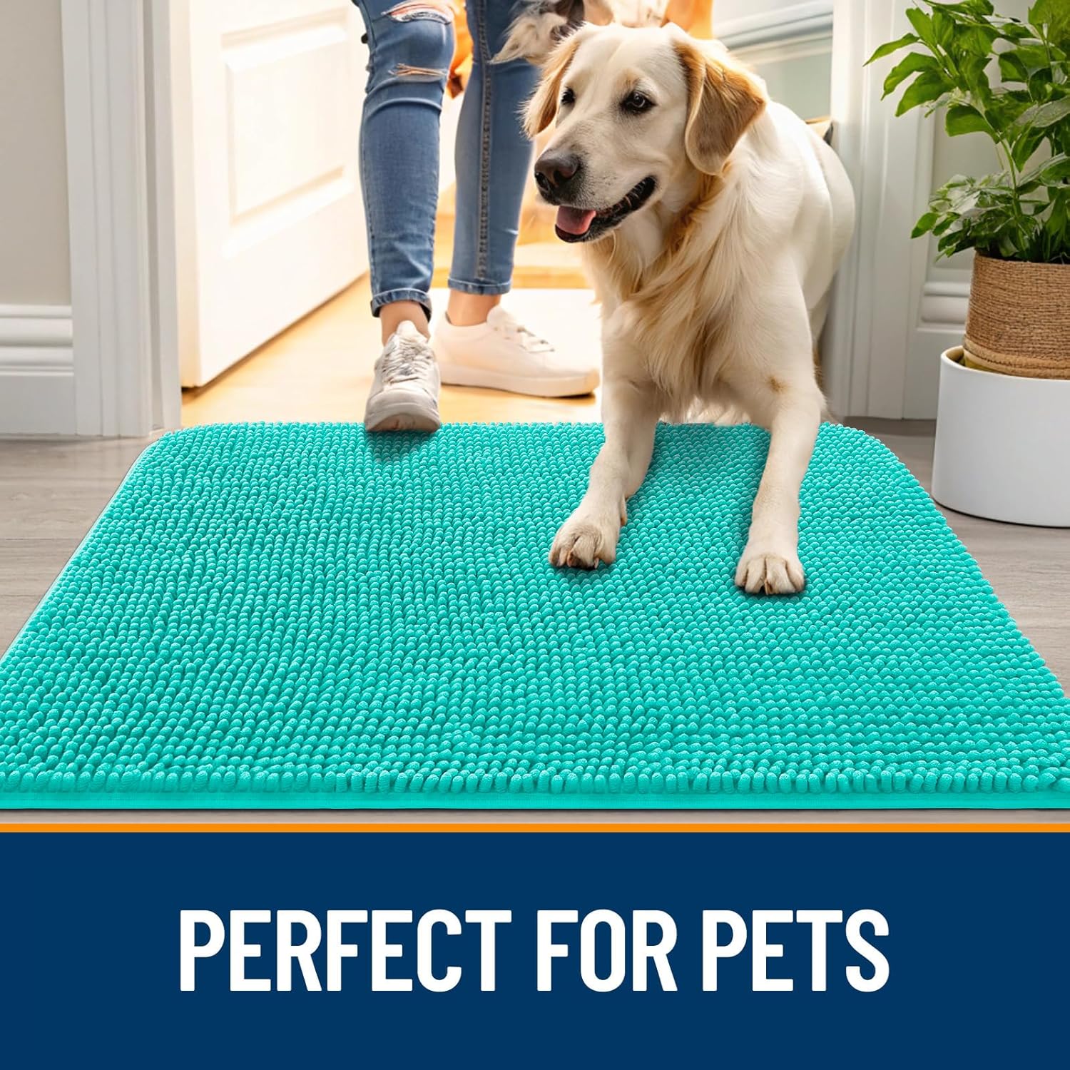 OLANLY Dog Door Mat - Absorbent Non-Slip Chenille Mud Mat for Indoor Use | 30x17 Inches, Teal