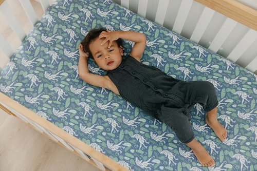 Premium Fitted Knit Crib Sheet/Toddler Sheet Jurassic Park by Copper Pearl, CP-CRSH-0113-NSZ