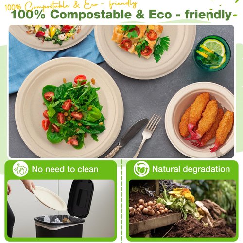 Havawish 300 Pcs Compostable Paper Plates and Bowls Set 7 Inch 9 Inch Disposable Plate 12oz Biodegradable Bowls for 100 Guests Party Dinner Party Supplies Bulk