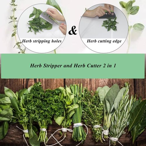 Herb Stripper and Herb Cutter 2 in 1,Herb Stripping Tool Herb Chopper Cilantro Chopper Best Kitchen Gadgets Presents for RV Owners Campers Chefs and Cooking Lovers,1PCS,Green,Stainless Steel,LXLVOUEG