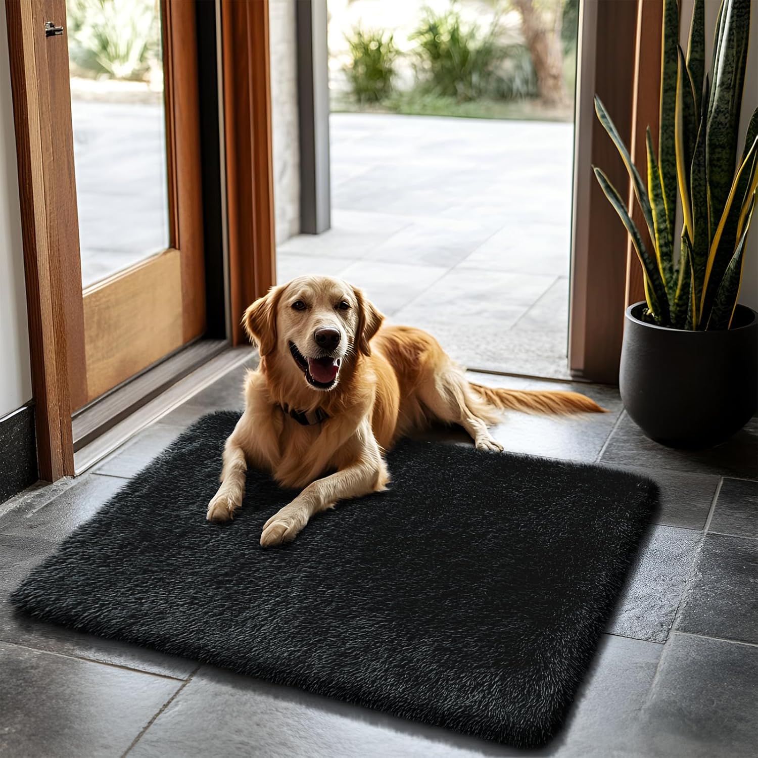 Skiennix 2x3 Fluffy Area Rug - Soft Shag Non-Shedding Indoor Carpet for Kids & Nursery | Black