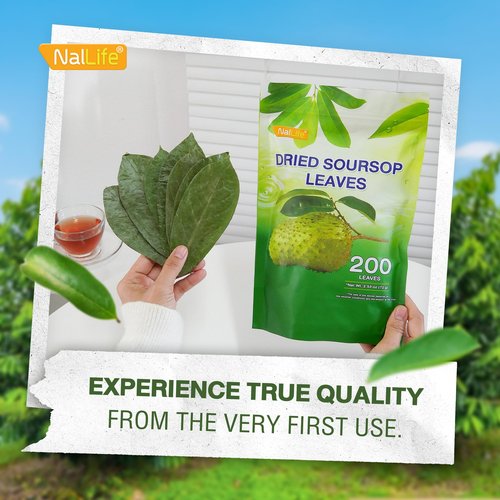 NalLife Soursop Leaves for Tea 200 Leaves