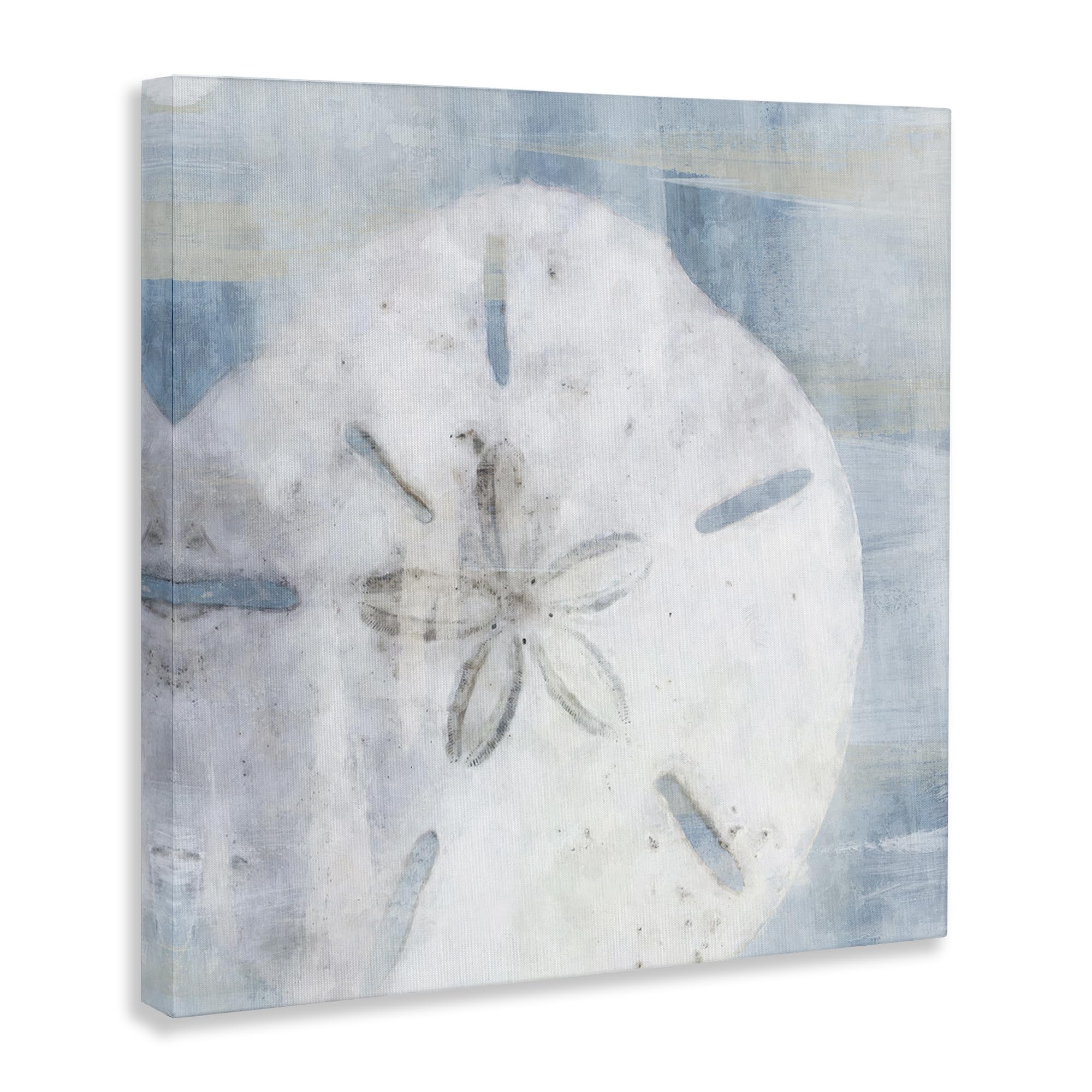 Stupell Industries 'Pastel Blue Sand Dollar Seashell'| Canvas Art