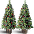Jin&Bao 4FT Potted Christmas Tree with 100 Lights, 2 Pack Artificial Xmax Tree Timer Function with Round Pine Cones & Red Berries, 3AA Battery Operated Christmas Decorations for Outdoor, Porch